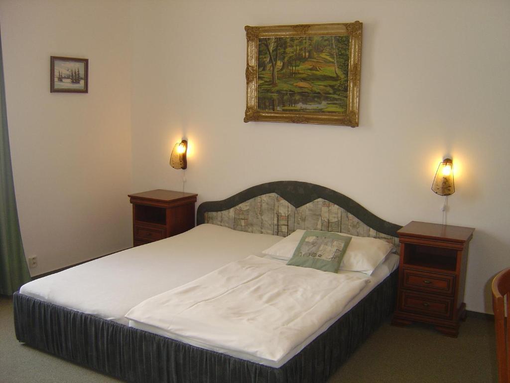 Hotel Excellent Prag Værelse billede